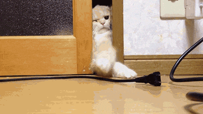 tumblr_n0sl5oW2e91s5rsdao1_400.gif