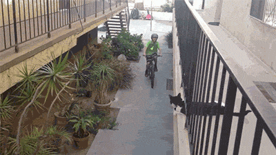 animated-gifs-96-012.gif
