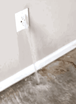 tumblr_ojw93oVzZv1s02vreo1_250.gif