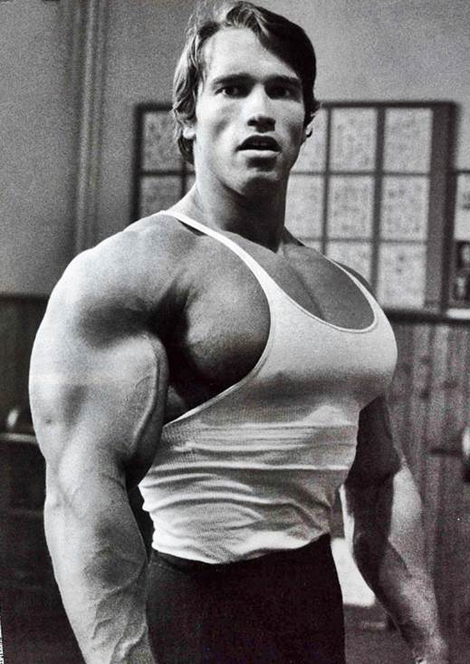 arnold-schwarzenegger.jpg