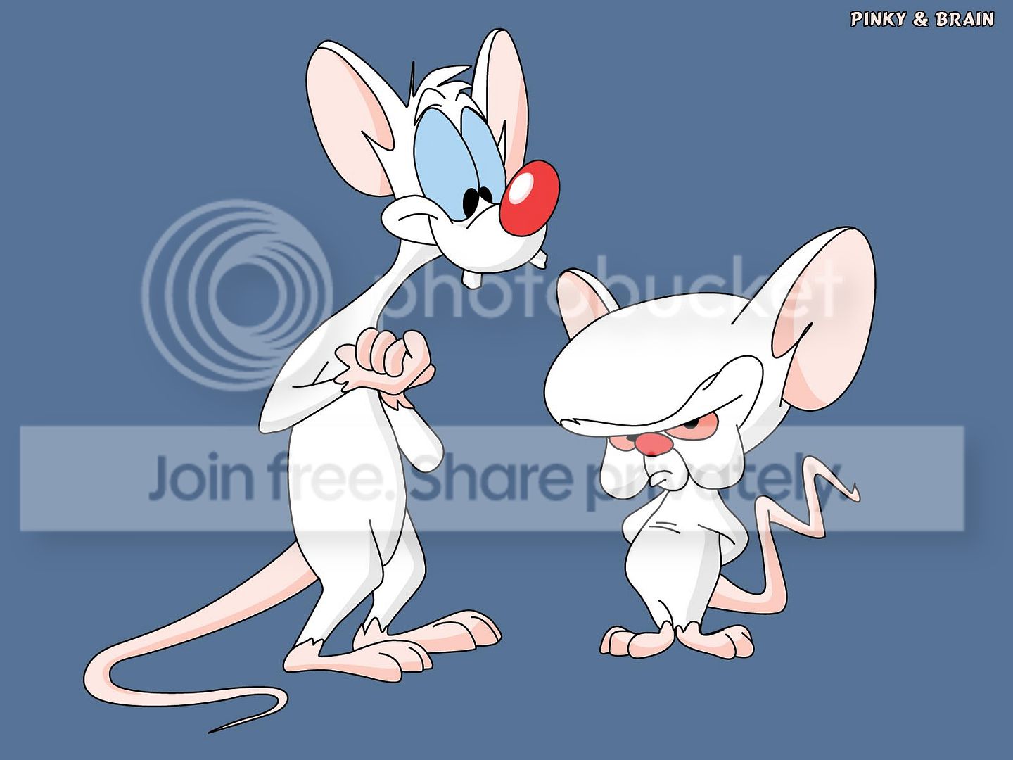 pinkyAndBrain_traced.jpg
