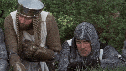 giphy-downsized-large.gif