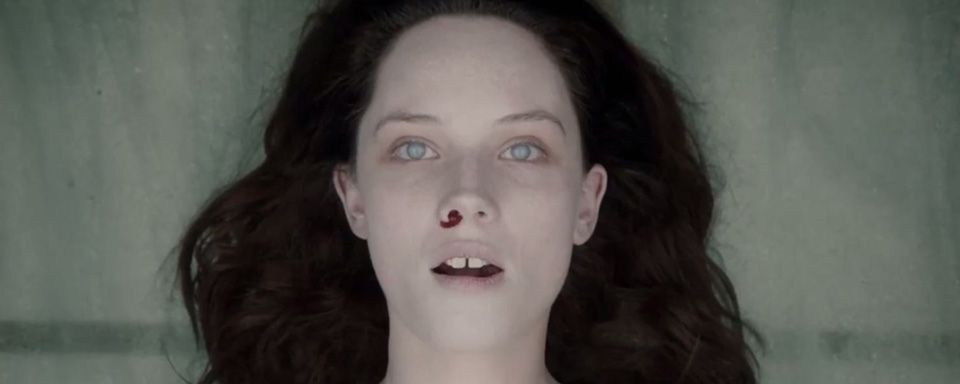 4486206.jpg
