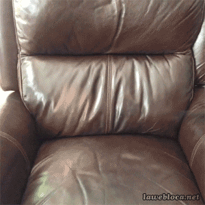 giphy.gif