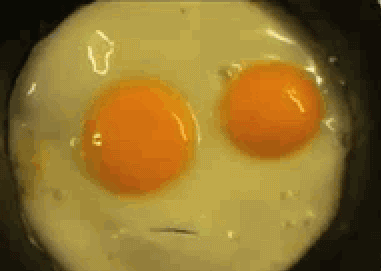 tumblr_m5pi76CFZJ1rwcc6bo1_400.gif