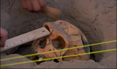 uju9rbqz.gif