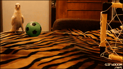 tumblr_nrl0aptJHX1s02vreo1_400.gif