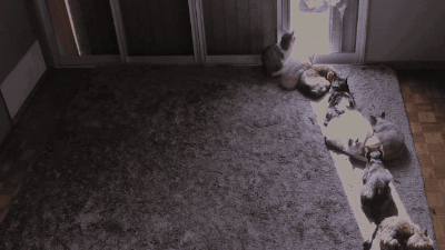 f56mpk2i.gif