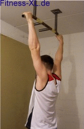 231.gif