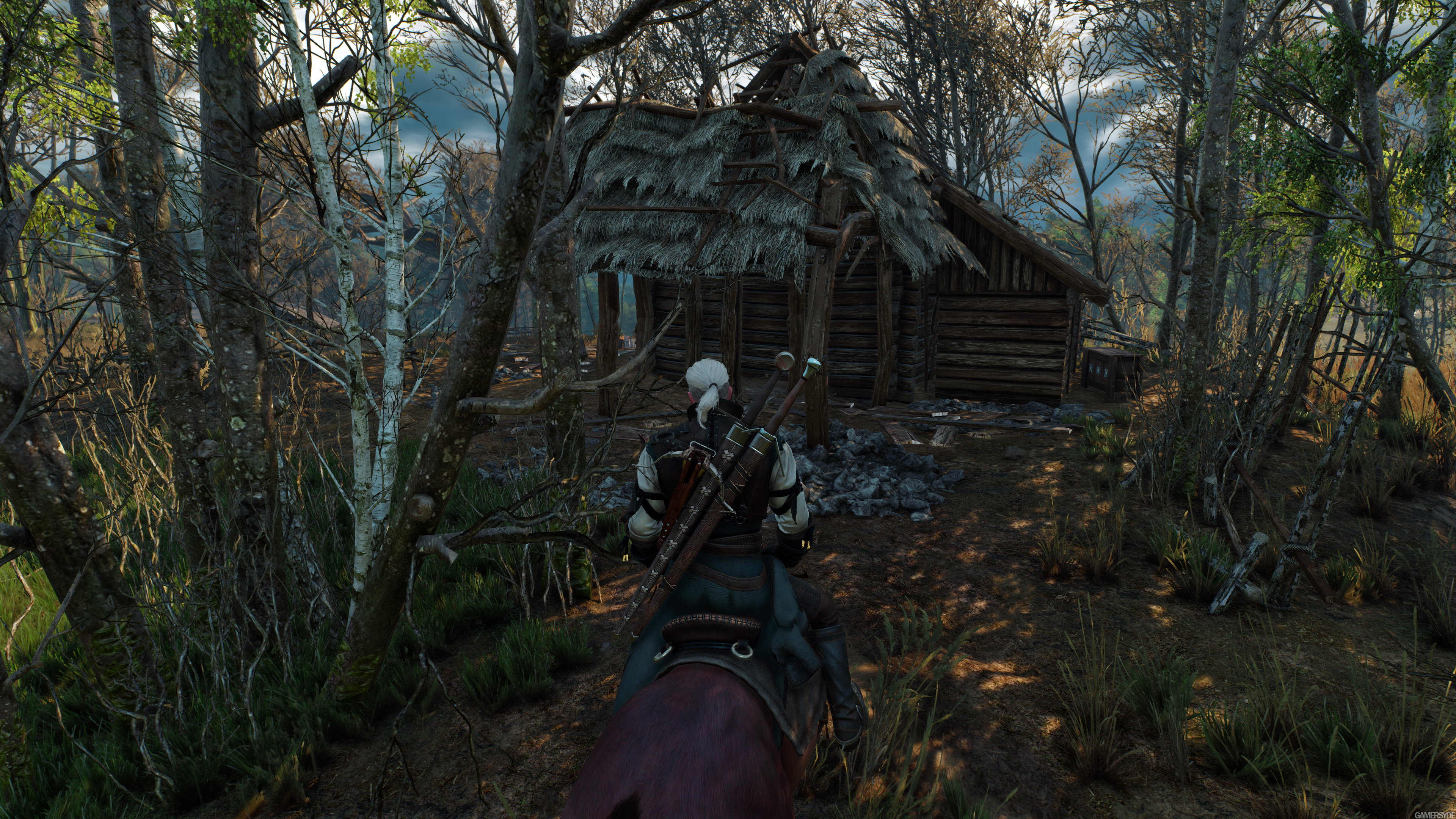image_the_witcher_3_wild_hunt-28053-2651_0002.jpg