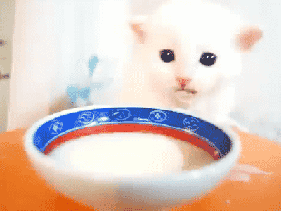 tumblr_nijr97CnZC1tm0lv8o1_400.gif