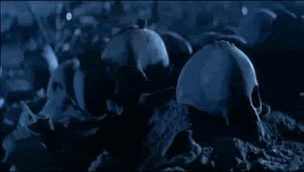 26156.gif