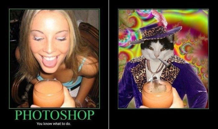acid_picdump_100.jpg