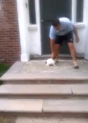 4HhNPua.gif