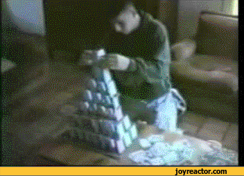 gif-asshole-cats-854705.gif