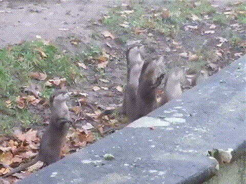 t722d09_k6dfjyi.gif