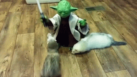 iLe0Y9a.gif