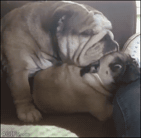 37f579f43521428ea57e3a7ae101655f.gif