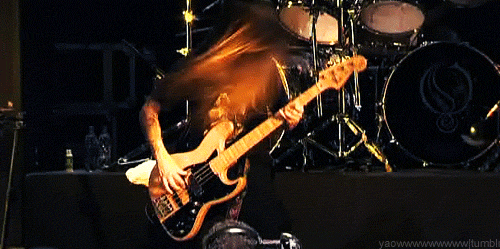 giphy.gif