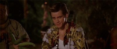 tumblr_lm9kt9PEVJ1qkwc9zo1_400.gif