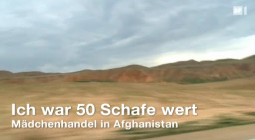 50schafe.jpg
