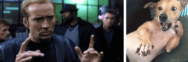 r6dXx4w.gif