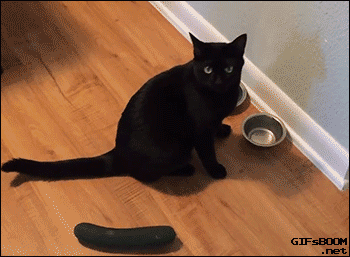 tumblr_nwpitwO5XV1s02vreo1_400.gif
