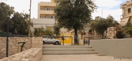 tumblr_nrmxwiVPUw1u2jwbho1_500.gif
