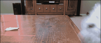 nlKOtdg.gif