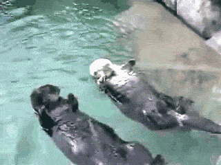 YwQeHUG.gif