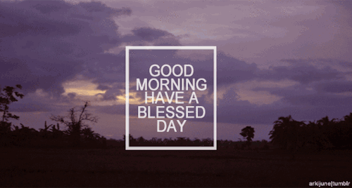 tumblr_m0826iaRmG1qiaf3to1_500.gif