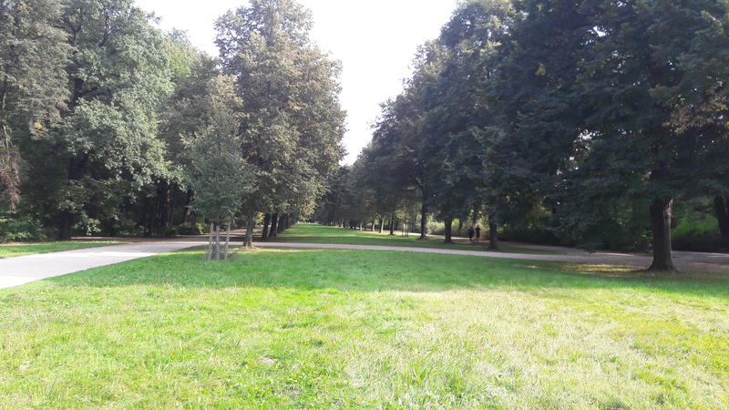 26919106gj.jpg