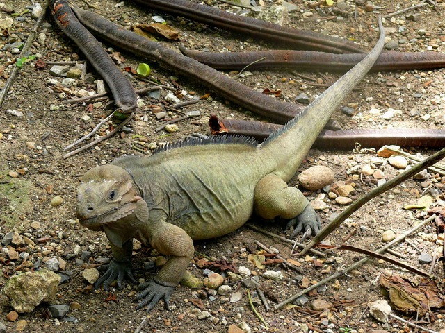 p73mfmh3.jpg