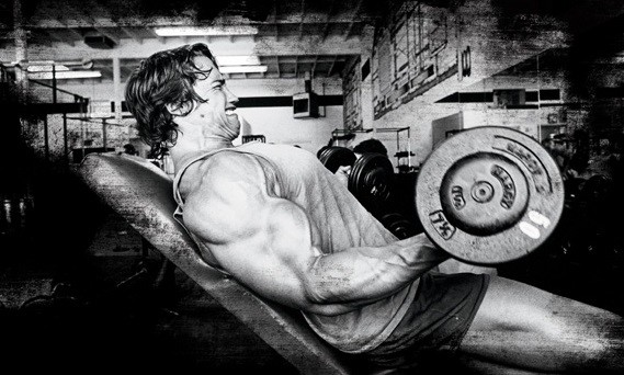 arnold-biceps.jpg