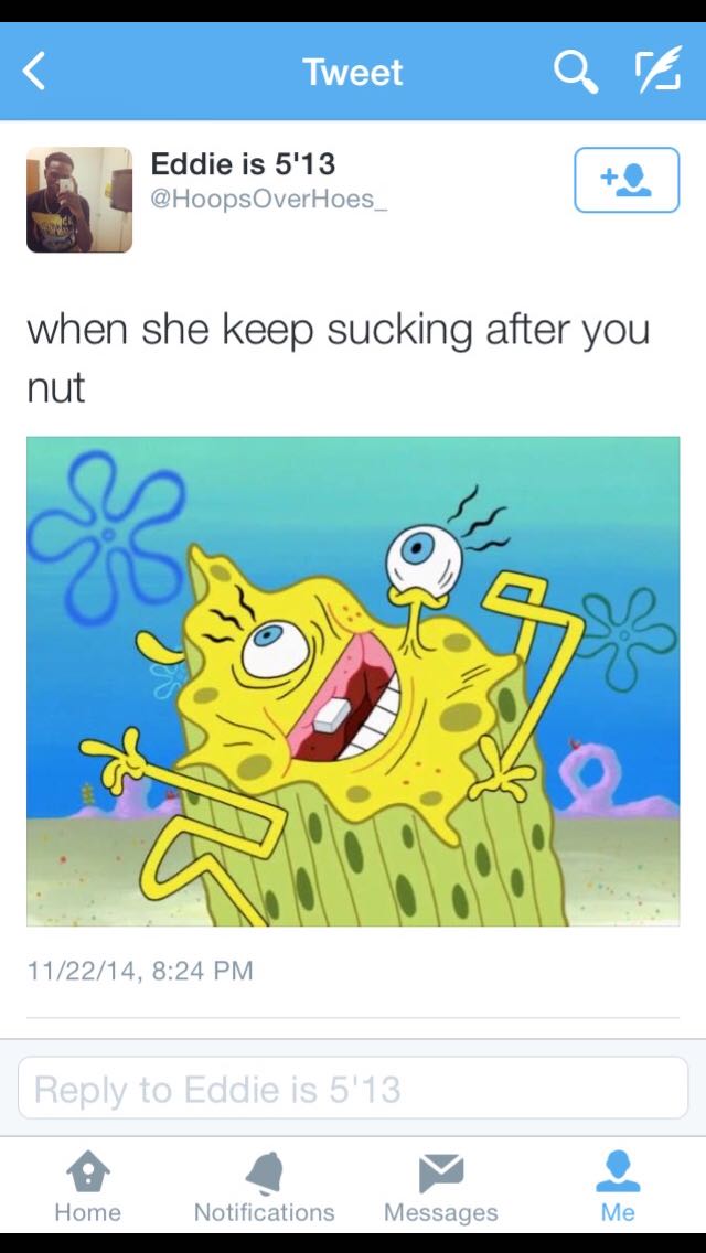 XeS6xSA.jpg