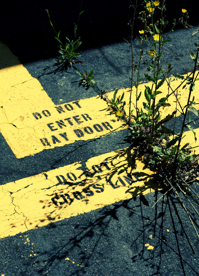 abandoned_4_by_rps05-d3vr42h.jpg