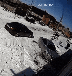 hornoxe.com_gifdump520_21.gif
