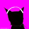 bscy2vnruir0s3okb.gif