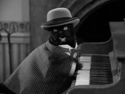 cat_gif_25.gif