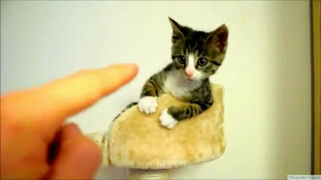 3fb8d86f3576e6fc6459864b39319ca1.gif