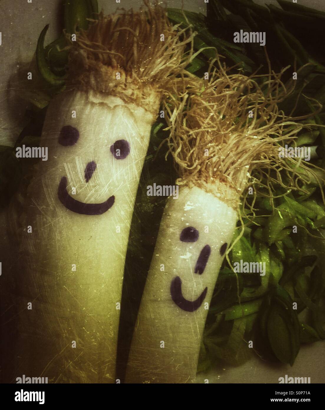 happy-leek-S0P71A.jpg