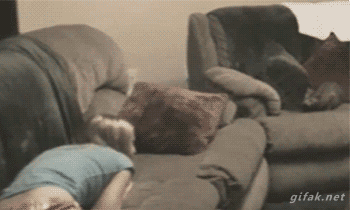 hornoxe.com_gifdump133_9.gif
