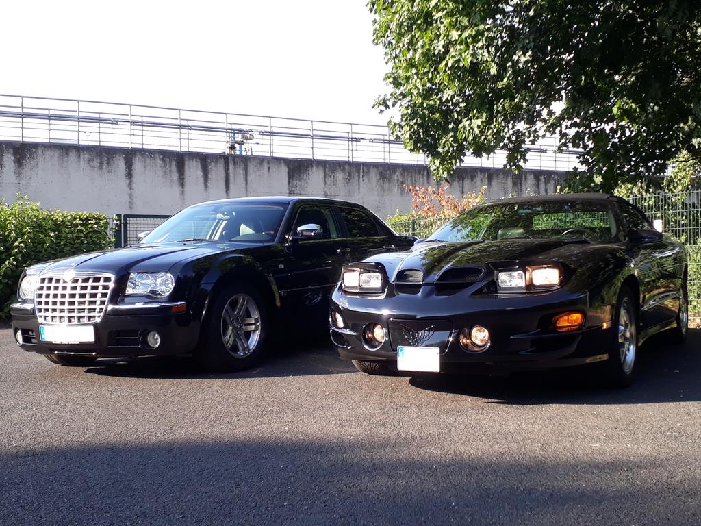 33248213zv.jpg