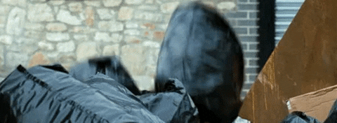 giphy.gif