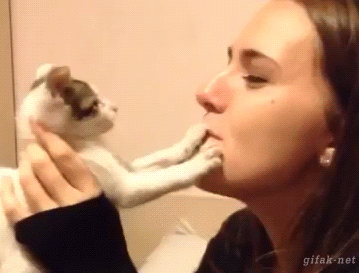 tumblr_ntsvht8oTe1s2yegdo1_400.gif
