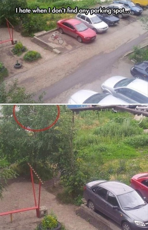 thumbs_picdump384_079.jpg