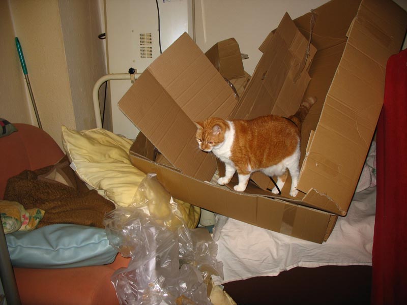 lissy3.jpg