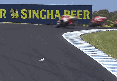 tumblr_olbyhnQbdX1s02vreo1_400.gif