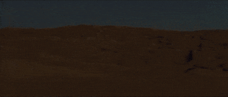 200.gif