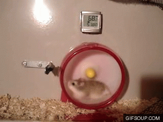 bdhsZ7p.gif